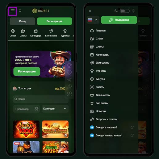 Внешний вид