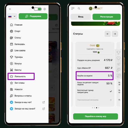 Система лояльности